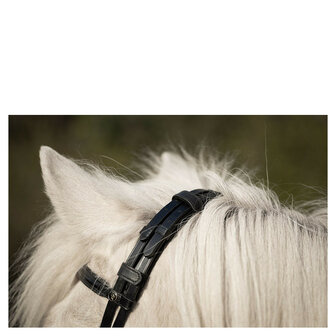 BR IJslander Hoofdstel Bourne