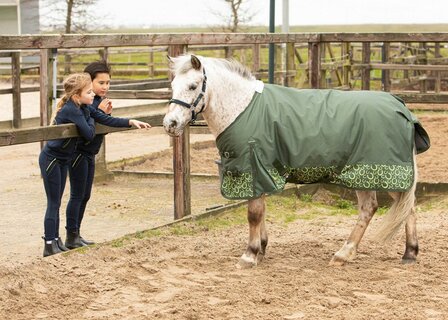 Harry&rsquo;s Horse Regendeken STOUT! Lime 200 gram