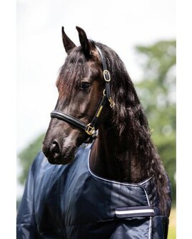 HB Showtime Regendeken Goliath XL 300 gram