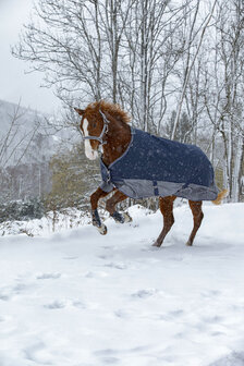EquiTheme Regendeken Tyrex 0 gram