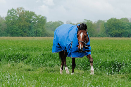 EquiTheme Regendeken Highneck Tyrex Aisance 50 gram