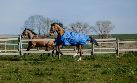 EquiTheme Regendeken Tyrex Aisance 300 gram