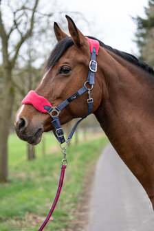 HKM halsterset met halstertouw &amp; vliegennet grijs