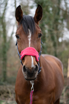 HKM halsterset met halstertouw &amp; vliegennet grijs
