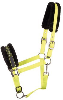 Harry&#039;s Horse halster Lyrics Quotes HEY BIG SPENDER lime