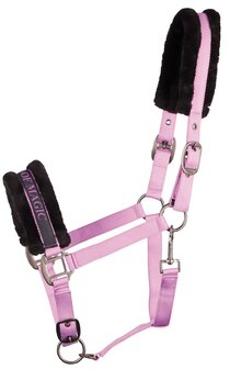 Harry&#039;s Horse halster Lyrics Quotes IT&#039;S A KIND OF MAGIC lila