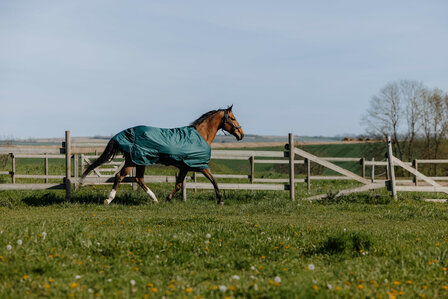 EquiTheme Regendeken Tyrex 0 gram 600D
