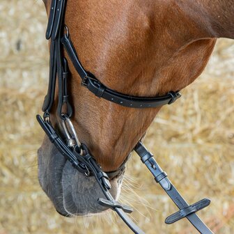 Harry&rsquo;s Horse Hoofdstel Anatomic Black Crystal