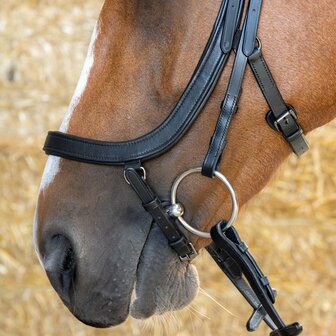 Harry&rsquo;s Horse Hoofdstel Anatomic Black Crystal