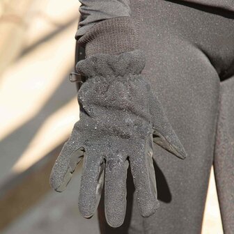 Harry&rsquo;s Horse Waterdichte Handschoenen Fleece Hipora
