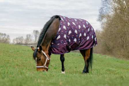 EquiTheme Regendeken Licorne Standard 0 gram