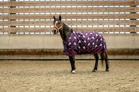 EquiTheme Regendeken Licorne Standard 0 gram