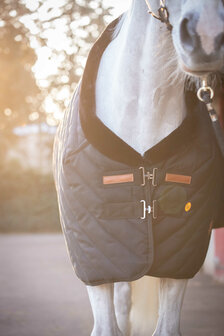 EquiTheme Staldeken Paddock 400 gram