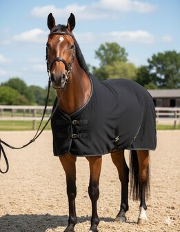 HB Luxe Wollen Zweetdeken Grand Canyon