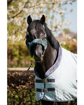 HB Showtime Zweetdeken Sunset