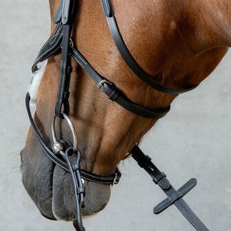 Harry&rsquo;s Horse Mexicaans Hoofdstel Anatomic