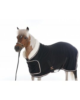 HB Zweetdeken Polar Dutch Crown Europe Rose