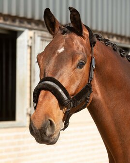 Harry&rsquo;s Horse Halsterset Denici Cavalli Stardust Soft