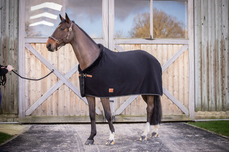EquiTheme Zweetdeken Paddock