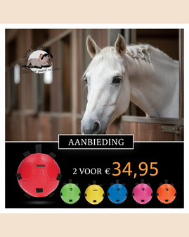 Excellent Fun Play Bal