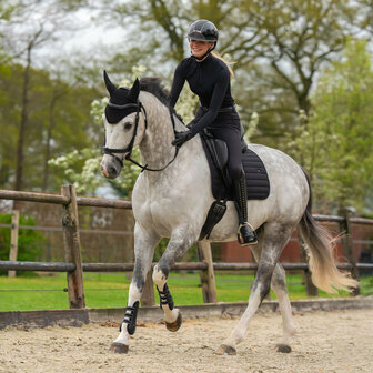 QHP Oornetje Salerno