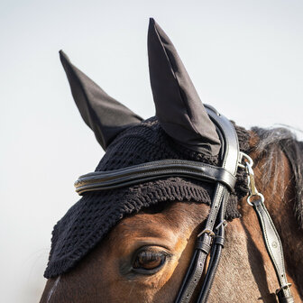 QHP Oornetje Salerno