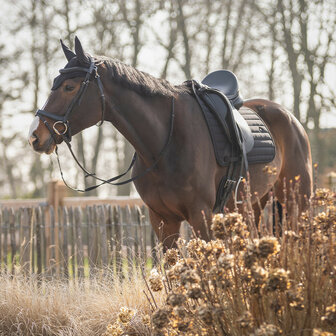 QHP Oornetje Salerno