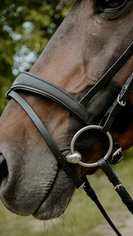 Norton Endurance Hoofdstel Pop