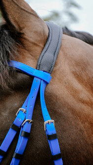 Norton Endurance Hoofdstel Pop