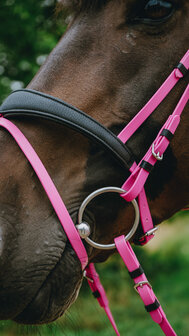 Norton Endurance Hoofdstel Pop