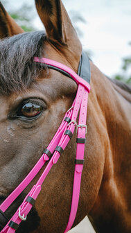 Norton Endurance Hoofdstel Pop