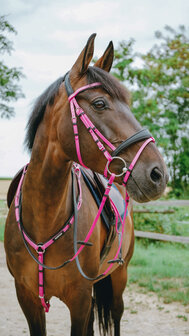 Norton Endurance Hoofdstel Pop