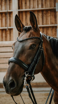 Norton Stang Trens Hoofdstel Onyx