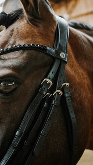 Norton Stang Trens Hoofdstel Onyx