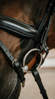 Norton Hoofdstel Diams