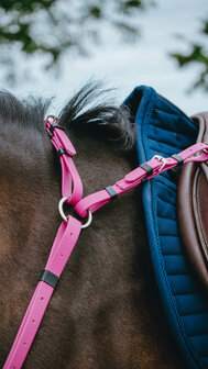 Norton Endurance Borsttuig Pop