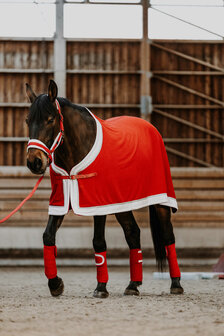 EquiTheme Halsterset Kerst