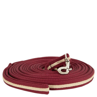 Premiere Longeerlijn