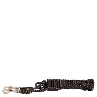 BR Longeerbijzettouw