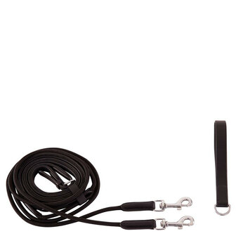 BR Slofteugel Norwich