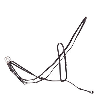 Premiere Thiedemann Teugel