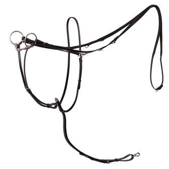 BR Thiedemann Teugel Lancaster