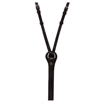 BR Thiedemann Teugel Lancaster