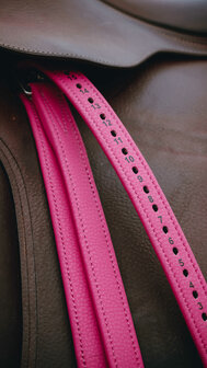 Norton Beugelriemen Pop