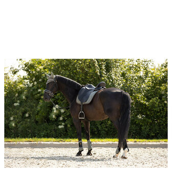 BR Event Peesbeschermers