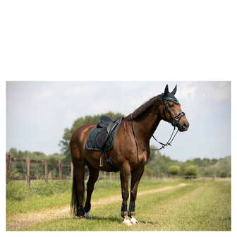 BR Event Peesbeschermers