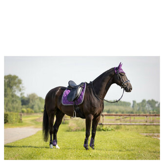 BR Event Peesbeschermers