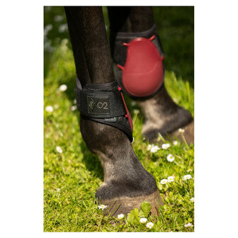 BR CLX XO2 strijklappen