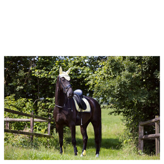 BR Event Strijklappen