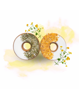 HB Candy Horse Donuts Peterselie Calendula